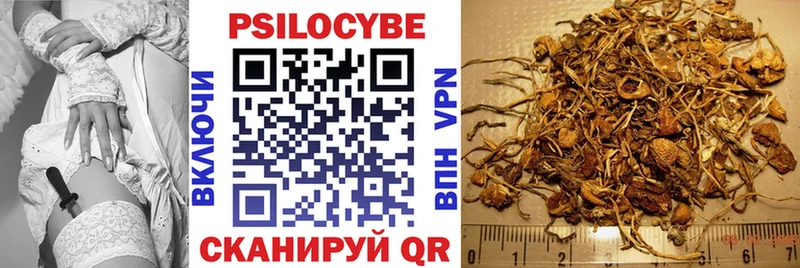 Галлюциногенные грибы MAGIC MUSHROOMS  Купить где  Красногорск 